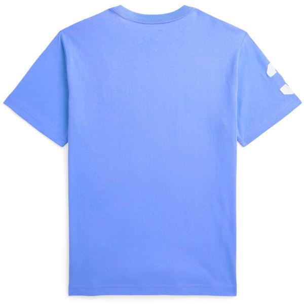ラルフローレン160cmビックポニー男の子半袖Tシャツ6枚まとめ売りSALE ラルフローレン160cmビックポニー男の子半袖Tシャツ6枚まとめ